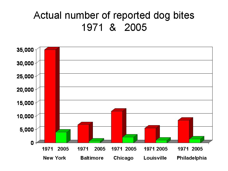 Pitbull Dog Years Chart